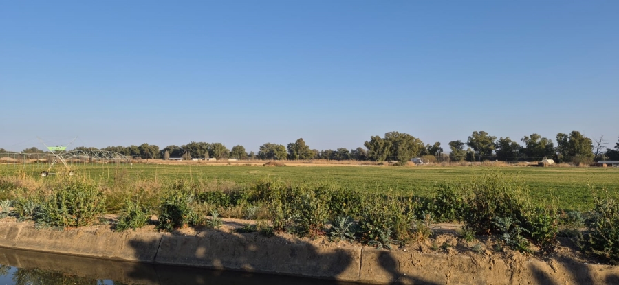 Commercial Property for Sale in Douglas Northern Cape